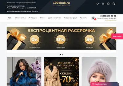 Снимок главной страницы 100shub.ru