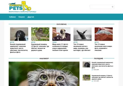 Снимок главной страницы awesomepets.ru