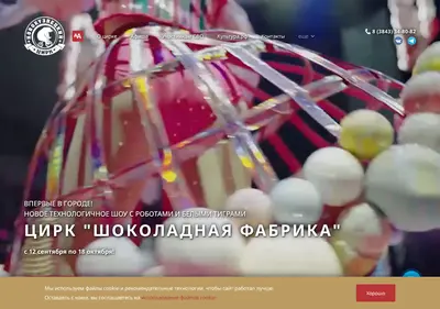Снимок главной страницы circus-novokuznetsk.ru