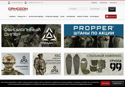 Снимок главной страницы camozon.ru