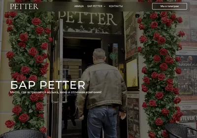 Снимок главной страницы petter.su