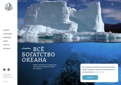Снимок главной страницы aisbereg.ru
