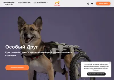 Снимок главной страницы animalfond.ru