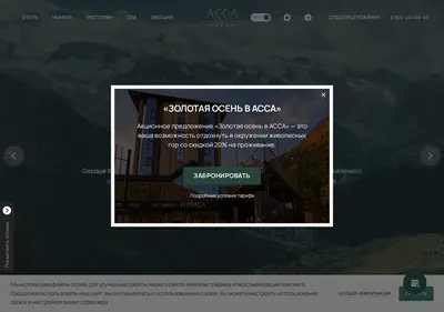 Снимок главной страницы assahotel.ru