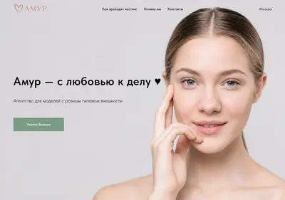 Снимок главной страницы amur-agency.ru