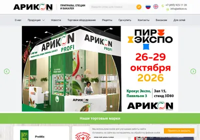 Снимок главной страницы arikon.ru