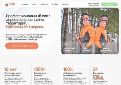 Снимок главной страницы 2bobra16.ru