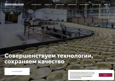 Снимок главной страницы burmp.ru