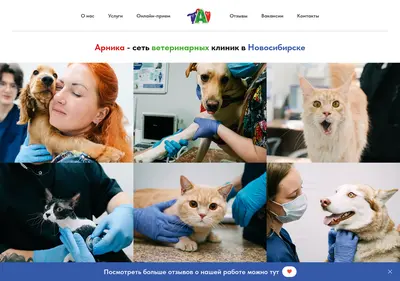 Снимок главной страницы arnika-vet.ru
