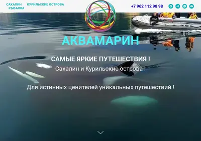 Снимок главной страницы aquamarines.ru