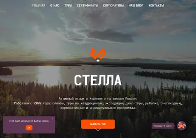 Снимок главной страницы stellakarelia.ru