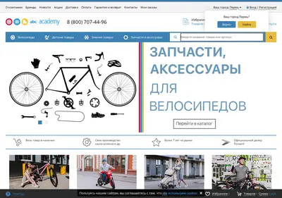 Снимок главной страницы abc-academ.ru
