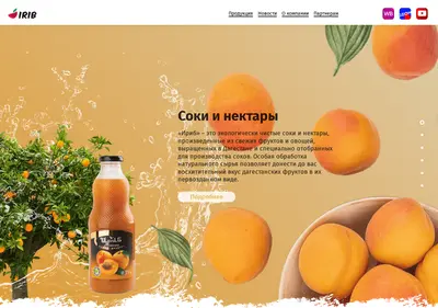 Снимок главной страницы irib.su