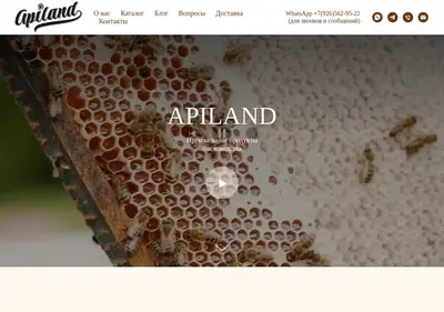 Снимок главной страницы apiland.ru