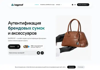 Снимок главной страницы bagproof.ru