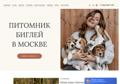 Снимок главной страницы beaglemsk.ru