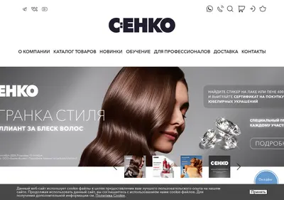 Снимок главной страницы cehko.ru