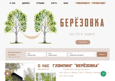Снимок главной страницы berezovka-glamp.ru
