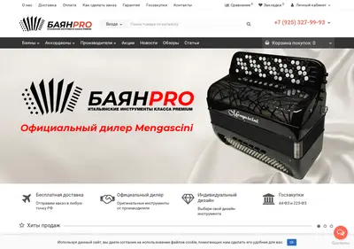 Снимок главной страницы bayanpro.ru