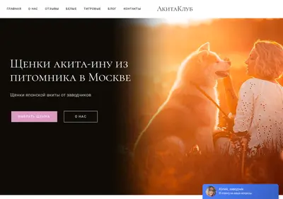 Снимок главной страницы akitainuclub.ru