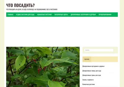 Снимок главной страницы chto-posadit.ru