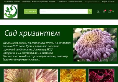 Снимок главной страницы хризантема.su