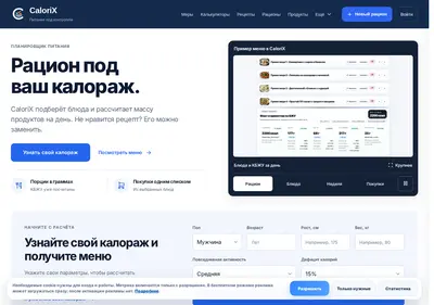 Снимок главной страницы calorix.ru