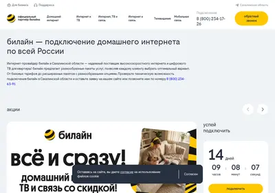 Снимок главной страницы beeline-pro.ru