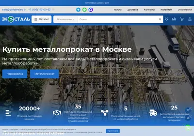 Снимок главной страницы 24steel.ru