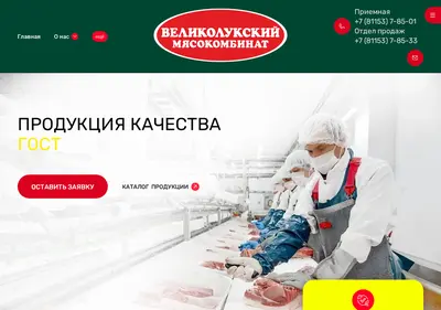 Снимок главной страницы vlmk.spb.ru