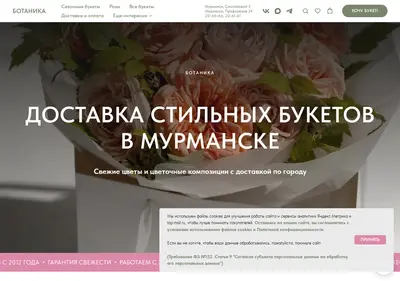 Снимок главной страницы botanika51.ru