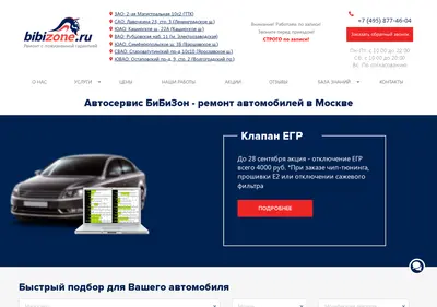 Снимок главной страницы bibizone.ru