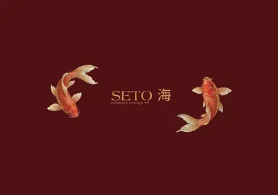 Снимок главной страницы seto.spb.ru