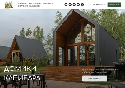 Снимок главной страницы capybara-houses.ru