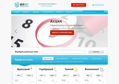 Снимок главной страницы bernet.ru