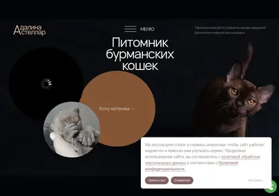 Снимок главной страницы burma-adalina.ru
