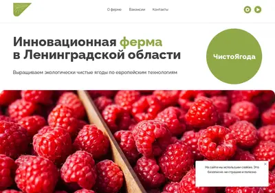 Снимок главной страницы chistoyagoda.ru