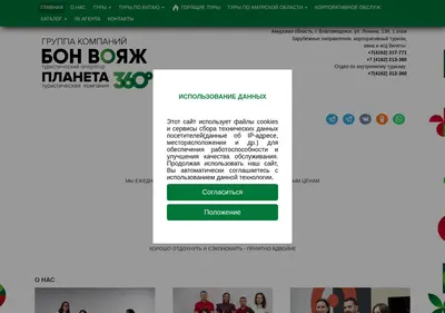 Снимок главной страницы bonvoyage28.ru
