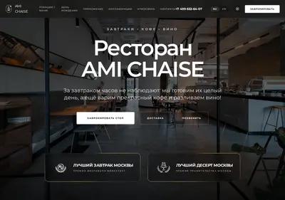 Снимок главной страницы amichaise.ru