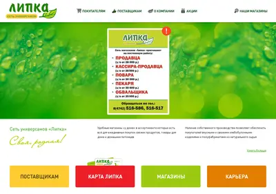 Снимок главной страницы lipka.su