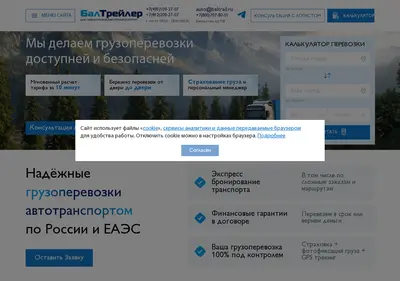 Снимок главной страницы baltrail.ru