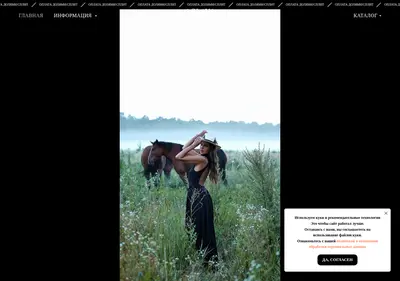 Снимок главной страницы aglayastore.ru