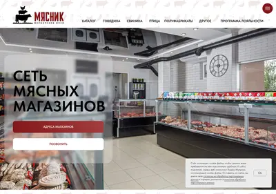 Снимок главной страницы butcher-gel.ru