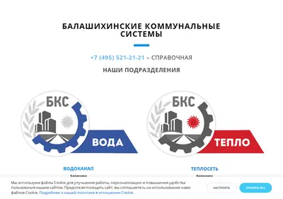 Снимок главной страницы balcomsys.ru