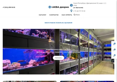 Снимок главной страницы aquadvorik.ru