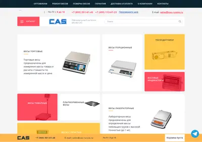 Снимок главной страницы cas-russia.ru