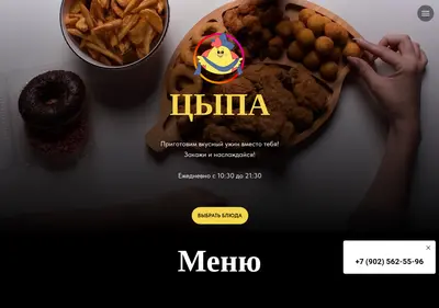 Снимок главной страницы cipa03.ru