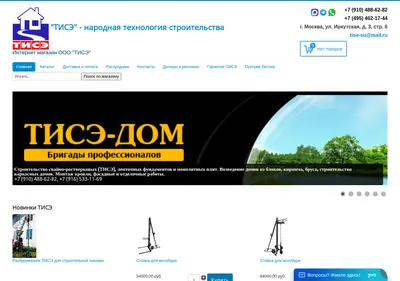 Снимок главной страницы tise.su
