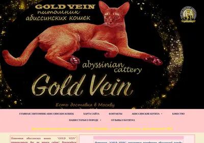 Снимок главной страницы abygoldvein.ru