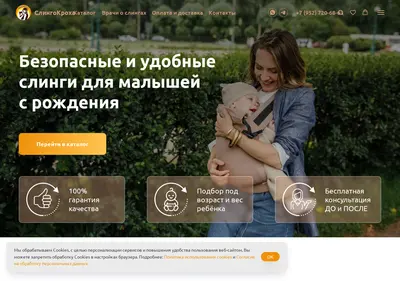 Снимок главной страницы babyergo.ru